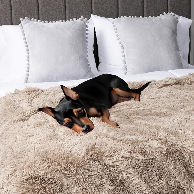Pavilia Taupe Tan Fluffy Throw Blanket for Couch & Bed, Fuzzy Plush Warm Blanket, Super Soft Thick Faux Fur Sherpa, 60x80