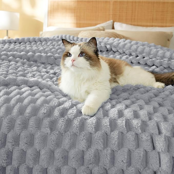 Bedsure Blanket Queen Size for Bed - 350GSM Fluffy Plush Bubble Blanket Queen Size for Home Room Decor, GentleSoft Cute Fleece Soft Cozy Gifts for Women Girls, Light Grey, 90x90 Inches