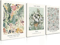 Induslyfe Framed Sage Green Vintage Wall Art Canvas Decor Set of 3, Matisse Wall Art Prints Posters Mid Century Modern Art, Aesthetic Floral Botanical wall art for bedroom, living room, bathroom 12x16