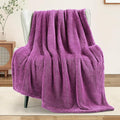 Exclusivo Mezcla Soft Fleece Throw Blanket for Couch, Super Soft Velvet Plush Fleece Blankets, Fuzzy Cozy and Warm for Winter, 50x60 Inches, Purple