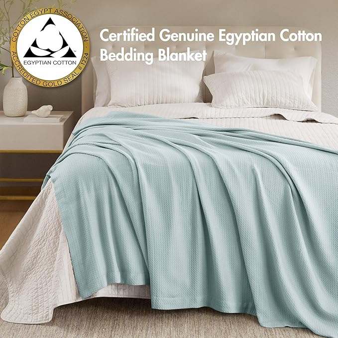 Madison Park 100% Egyptian Cotton Lightweight Summer Blanket, Breathable Waffle Knit Design, Soft Cozy All-Season Throw for Bed, Couch or Sofa, Light Blue King Size (108"x90")