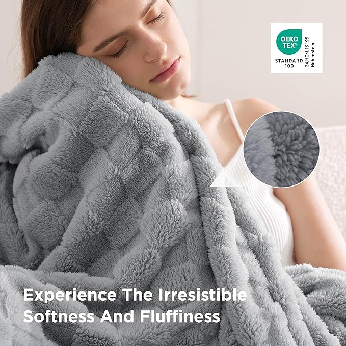 Bedsure GentleSoft Twin Blanket for Bed Silver Grey - Super Soft Cozy Blankets for Women Men Girls, Cute Fuzzy Fleece Throws for Bedroom Couch, 60x80 Inches