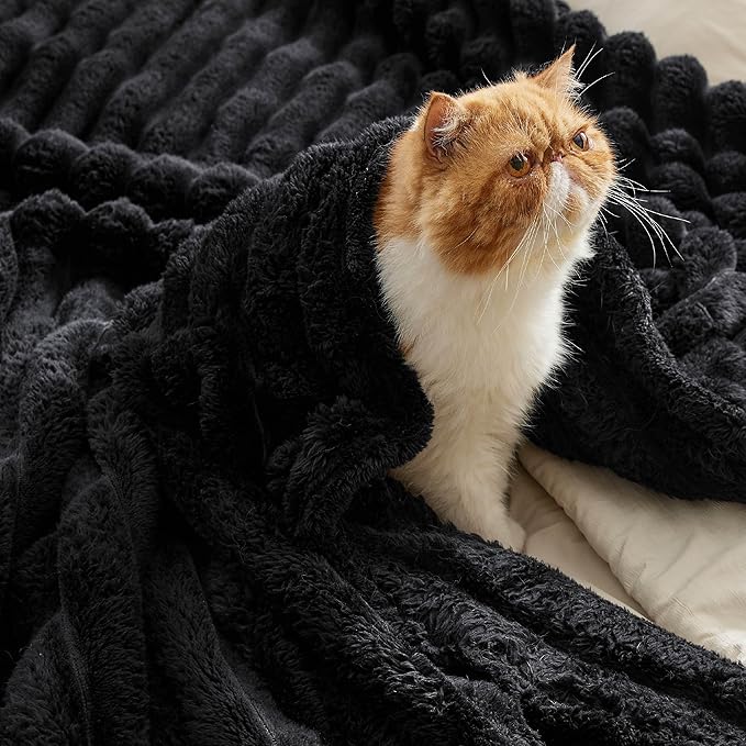 Bedsure Twin Blanket for Couch - 350GSM Super GentleSoft Fuzzy Fluffy Cozy Blankets for Women, Cute Small Plush Fleece Throws for Girls, Black，60x80 Inches, Wider Striped Design
