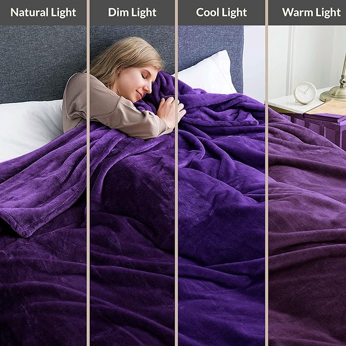 IR Imperial Rooms Fleece Blanket 2 Pack - Super Soft Fluffy Purple Throw Blanket for Sofa and Bed - Warm and Cozy Lightweight 400 GSM Microfiber Bed Throws Blankets, 50x60 Inches (Throw/Travel)
