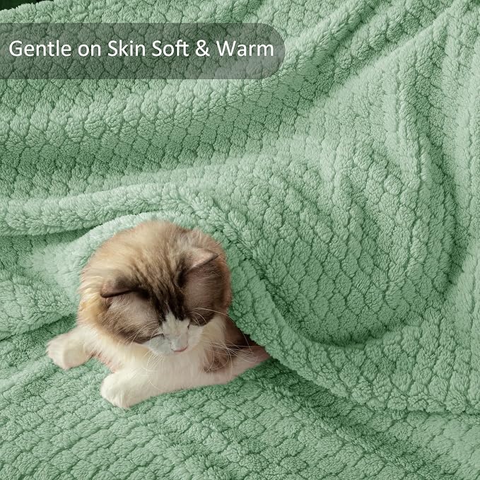 Exclusivo Mezcla Fleece Throw Blanket for Couch and Bed,Extra Soft Warm Decorative Fuzzy Throws for Women,Lightweight Cozy Blankets Size 50x60 Inches, Sage Green