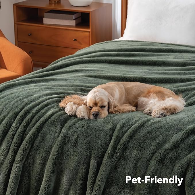 Berkshire Blanket Classic Extra-Fluffy™ Plush Throw Blanket, Soft Fuzzy Fluffy Long Hair Throw Blanket for Couch Sofa Bed, Dark Sage Green, 50x60 Inches