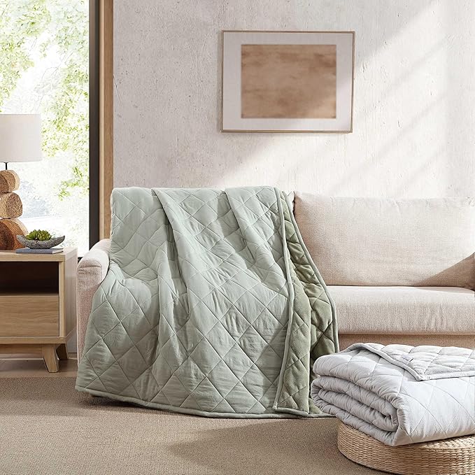 Eddie Bauer - Twin Size Blanket, Soft & Reversible Plush Bed Blanket, Brushed for Extra Softness with a Plush Smooth Texture, Throw Blanket for Couch or Bed (Classic Solid Green)