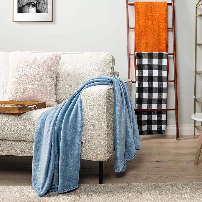 PAVILIA Fleece Blanket Throw Twin Size | Super Soft, Plush, Luxury Flannel Throw | Lightweight Microfiber Blanket for Sofa Couch Bed (Dusty Blue, 60x80 inches)