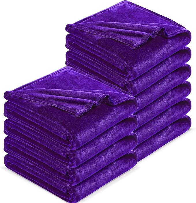 DREAMNINE Pack of 10 Soft Fuzzy Fleece Throw Blanket for Couch Sofa 50" x 60", Decorative Solid Lightweight Velvet Blankets for Chair, Cozy Accent Shaggy Plush Flannel Blanket for Bedroom, Purple