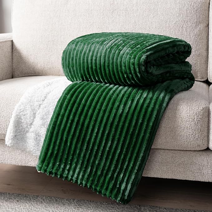 PAVILIA Emerald Green Sherpa Fleece Throw Blanket for Couch, Soft Plush Fuzzy Blankets, Fluffy Flannel Sherpa Blanket for Sofa, Warm 3D Ribbed Winter Blanket Gift, 50x60 inches