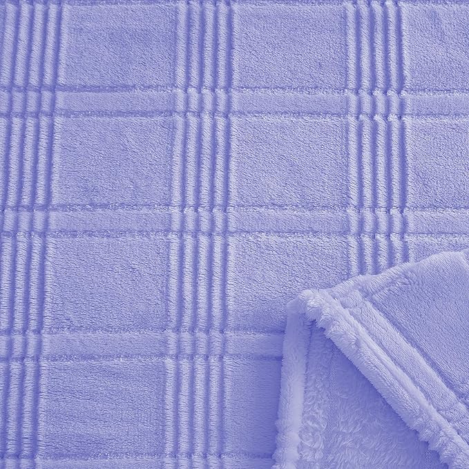 Super Soft Flannel Throw Blanket 50x60 Inches, Premium Checkered Jacquaed Silky Fleece Lightweight Bed Blanket All Season Use, Light Blue-1 Strip, 50"x60"