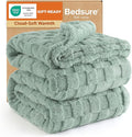 Bedsure GentleSoft Blankets Queen Size for Bed - Super Soft Cozy Mother's Day Blanket for Women Men Girls, Large Fuzzy Fleece Spring Throw for Bedroom Decor, Sage Green, 90x90 Inches