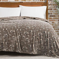 Lucky Brand Daisy Beige Floral 66"X90" Cozy Plush Blanket - Premium Microfiber Throw for Luxurious Comfort and Style Twin/Twin XL Size
