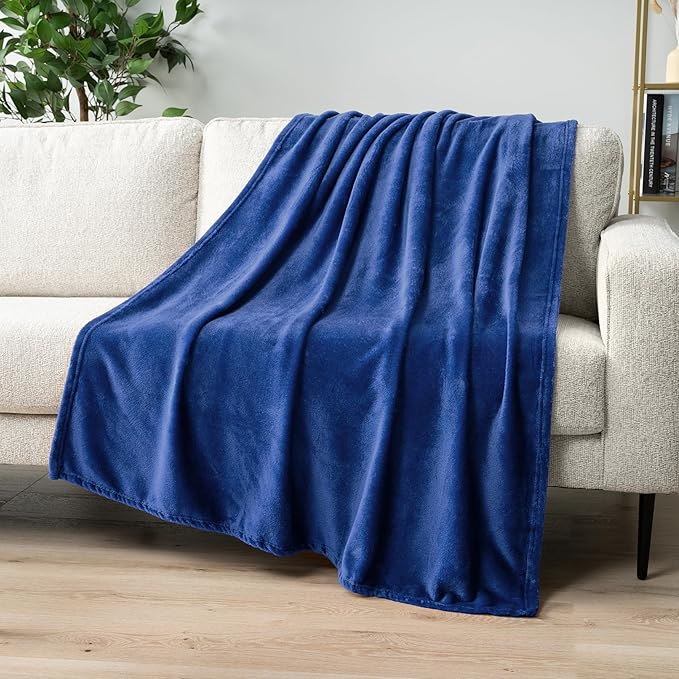 PAVILIA Blue Fleece Throw Blanket for Couch Twin Size, Super Soft Fuzzy Flannel Throw for Sofa, Luxury Plush Microfiber Blanket Twin Bed, Home Decorative Velvet Gift Blanket, 60x80