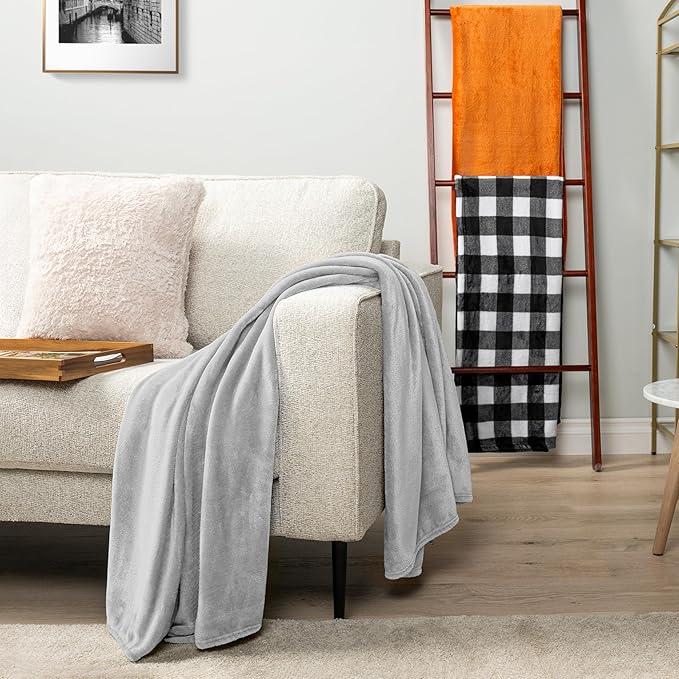 PAVILIA Light Grey Fleece Bed Blanket Queen Size, Silver Super Soft Fuzzy Flannel Throw for Couch Sofa, Luxury Plush Microfiber Large Throw Blanket Queen Bed, Home Cozy Velvet Gift Blanket, 90x90