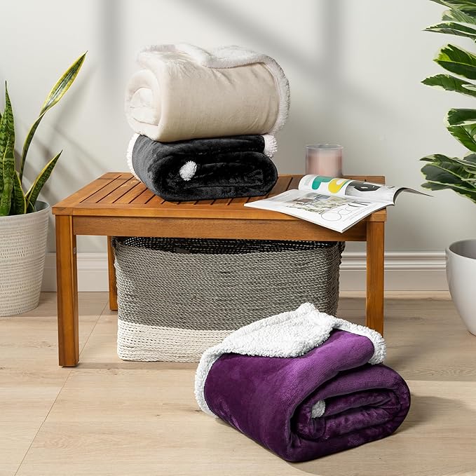 PAVILIA Sherpa Fleece Throw Blanket for Couch, Twin Size, Cream Beige, Plush Soft Fuzzy Sofa Blanket, Cozy Reversible Winter Throw for Women Men, 60x80 Inches