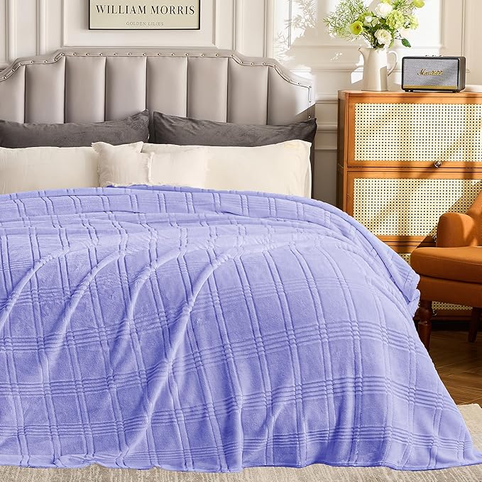 Super Soft Flannel Throw Blanket 50x60 Inches, Premium Checkered Jacquaed Silky Fleece Lightweight Bed Blanket All Season Use, Light Blue-1 Strip, 50"x60"
