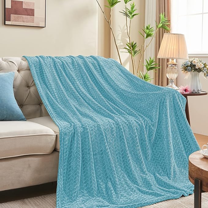 inhand Fleece Queen Blanket for Bed, Super Soft Flannel Cozy Queen Bed Blanket for Adults, Washable Lightweight Fuzzy Bed Blanket for Office, Warm Plush Blankets for All Season (90"×90", Blue)