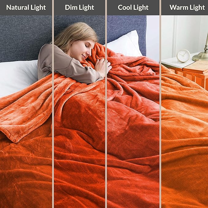 IR Imperial Rooms Fleece Blanket 2 Pack - Super Soft Fluffy Rust Throw Blanket for Sofa and Bed - Warm and Cozy Lightweight 400 GSM Microfiber Bed Throws Blankets, 50x60 Inches (Throw/Travel)