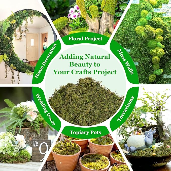 Riare 7OZ Artificial Fake Moss for Fake Plants Indoor- Premium Faux Craft Moss for Potted Plant, Fresh Forest Green for Hamsters Micro-Landscape Terrariums Centerpieces Decor