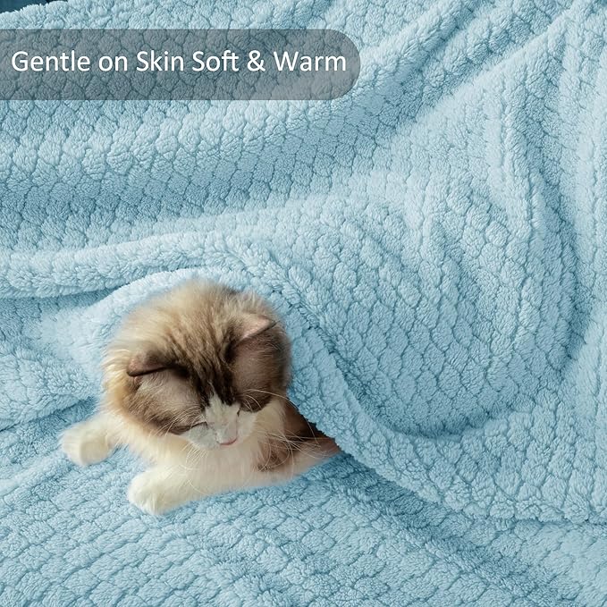 Exclusivo Mezcla Twin Size Fleece Blanket for Bed, Extra Soft Warm Decorative Fuzzy Blanket for Women, Lightweight Cozy Bedding Blankets, 60x80 Inches, Light Blue