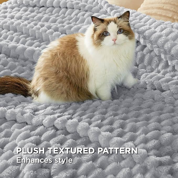 Bedsure Twin Blanket for Bed - 350GSM Fluffy Plush Bubble Blanket for College Dorm for Home Room Decor, GentleSoft Cute Fleece Soft Cozy Gifts for Women Girls, Light Grey, 60x80 Inches