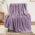 Exclusivo Mezcla Soft Fleece Throw Blanket for Couch, Super Soft Velvet Plush Fleece Blankets, Fuzzy Cozy and Warm for Winter, 50x60 Inches, Grayish Purple