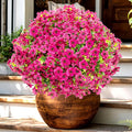 Artificial Flowers for Outdoors Fake Plants - 16 Bundles Faux Outside Greenery Boxwood No Fade Plastic Shrubs Fall Decor Farmhouse Home Garden Thanksgiving Mums (Red)
