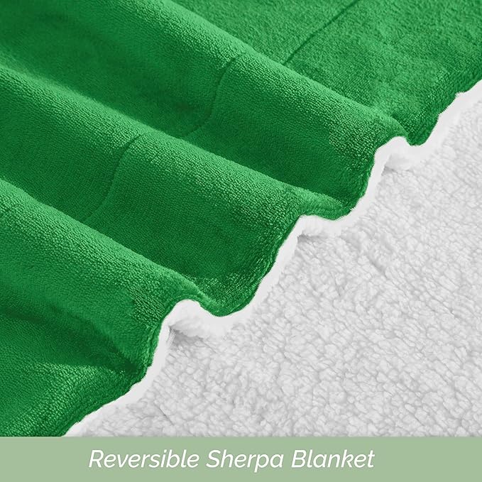 Elegant Comfort Ultra Soft Reversible Flannel Sherpa Blanket - Cozy Silky Fleece Throw for Couch, Bed - Plush Fuzzy Warm Winter Blanket for Gift, Twin XL, Emerald Green