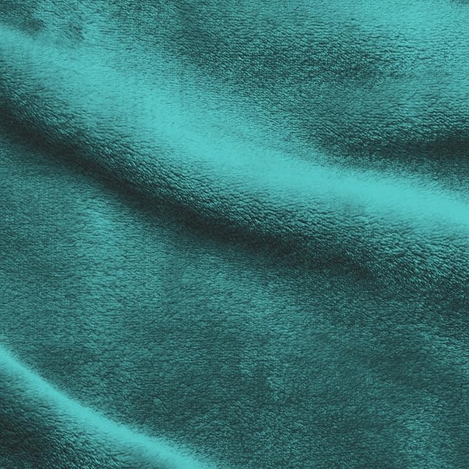 Elegant Comfort Luxury Velvety Softness Fuzzy Plush Micro-Velour Ultra-Soft Blanket, Full/Queen, Teal