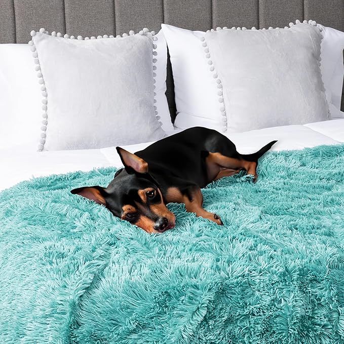 PAVILIA Teal Green Fluffy Throw, Fuzzy Blanket for Women Men, Super Soft Thick Faux Fur Sherpa, 50x60