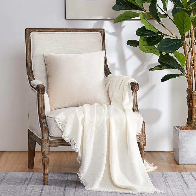 GIGIZAZA Velvet Ivory Cream Throw Pillow Covers Decorative Cushion Covers Pillow Cases Sham for Sofa Couch (20x20inch(50x50cm)-4pcs, Ivory)