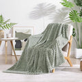 Monbix Light Sage Green Fleece Throw Blanket for Couch- Room Decor Soft Cozy Blankets for Women, Lightweight Fuzzy Fleece Flannel Bed Blanket Suitable for All Seasons(60"×80",Light Sage Green)