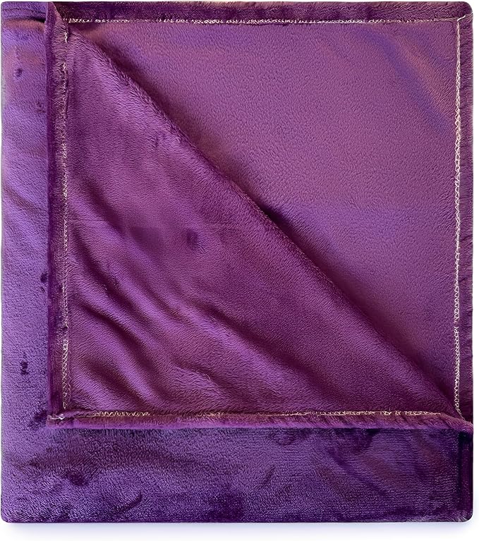Fleece Blanket Full/Queen - 80x90 Inch Lightweight & Buttery-Soft Throw for Bed, Sofa, Camping | 300GSM Cloud-Touch Microfiber | Cozy Essentials for Travel & Movie Nights, (Purple)