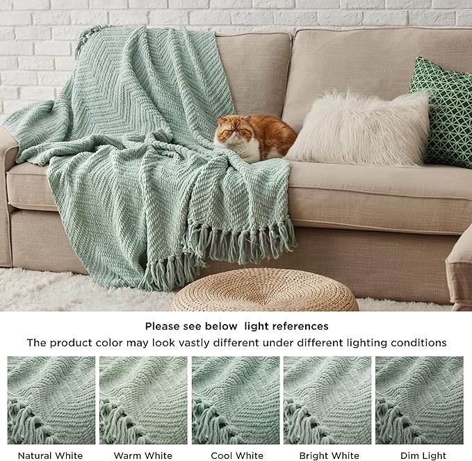 Bedsure Sage Green Throw Blanket for Couch ?Versatile Knit Woven Chenille Blanket for Chair, Super Soft, Warm & Decorative Blanket with Tassels for Bed, Sofa and Living Room (Sage Green, Throw)